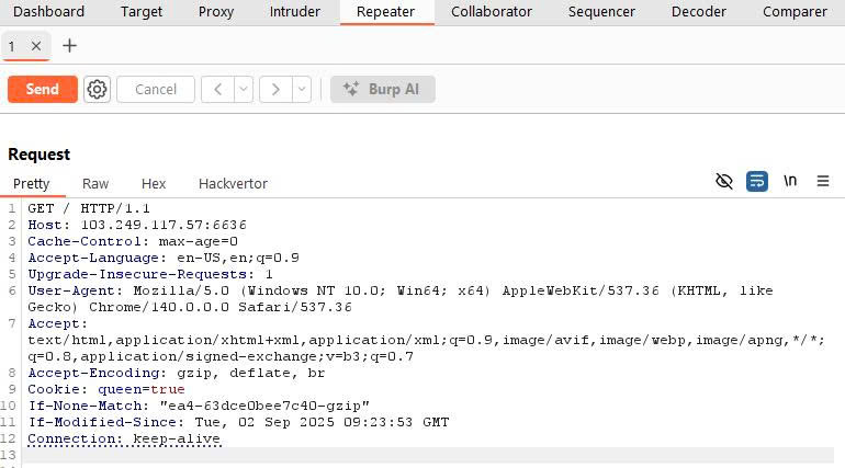 burp-repeater-placeholder